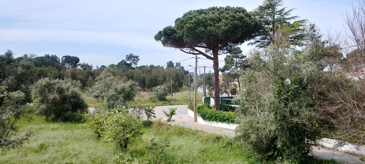 Villa Shardana B&B Sesimbra Exterior photo